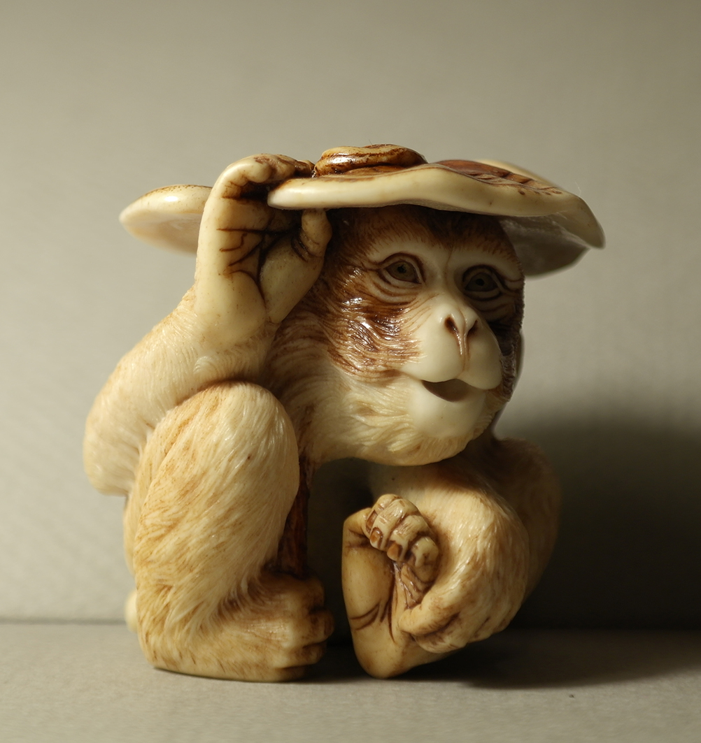 Monkey and reishi006b